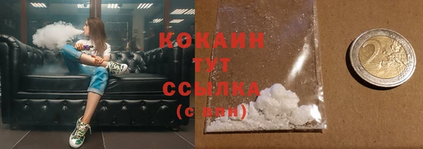 шишки Богородицк