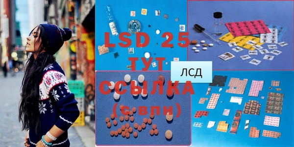 шишки Богородицк