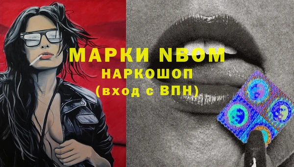 шишки Богородицк