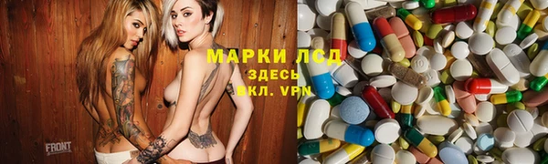 шишки Богородицк