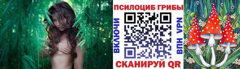 это телеграм  где можно купить наркотик  Сосногорск  Галлюциногенные грибы ЛСД 
